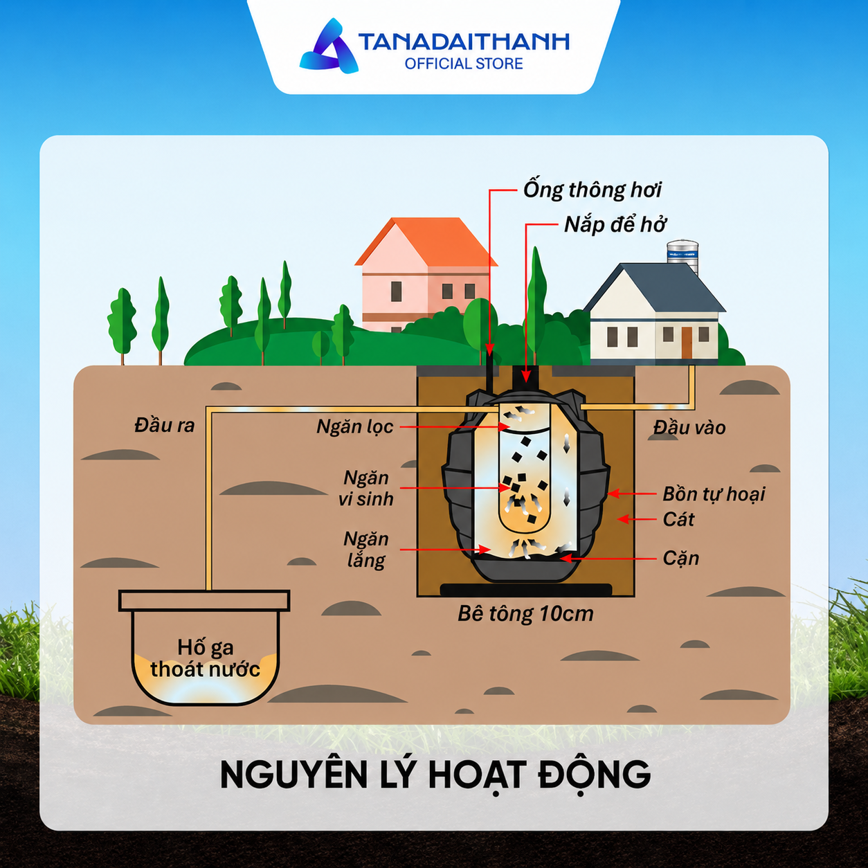 Bể tự hoại tiếp nhận, lắng, phân hủy kỵ khí và lọc cặn trước khi nước thoát ra ngoài